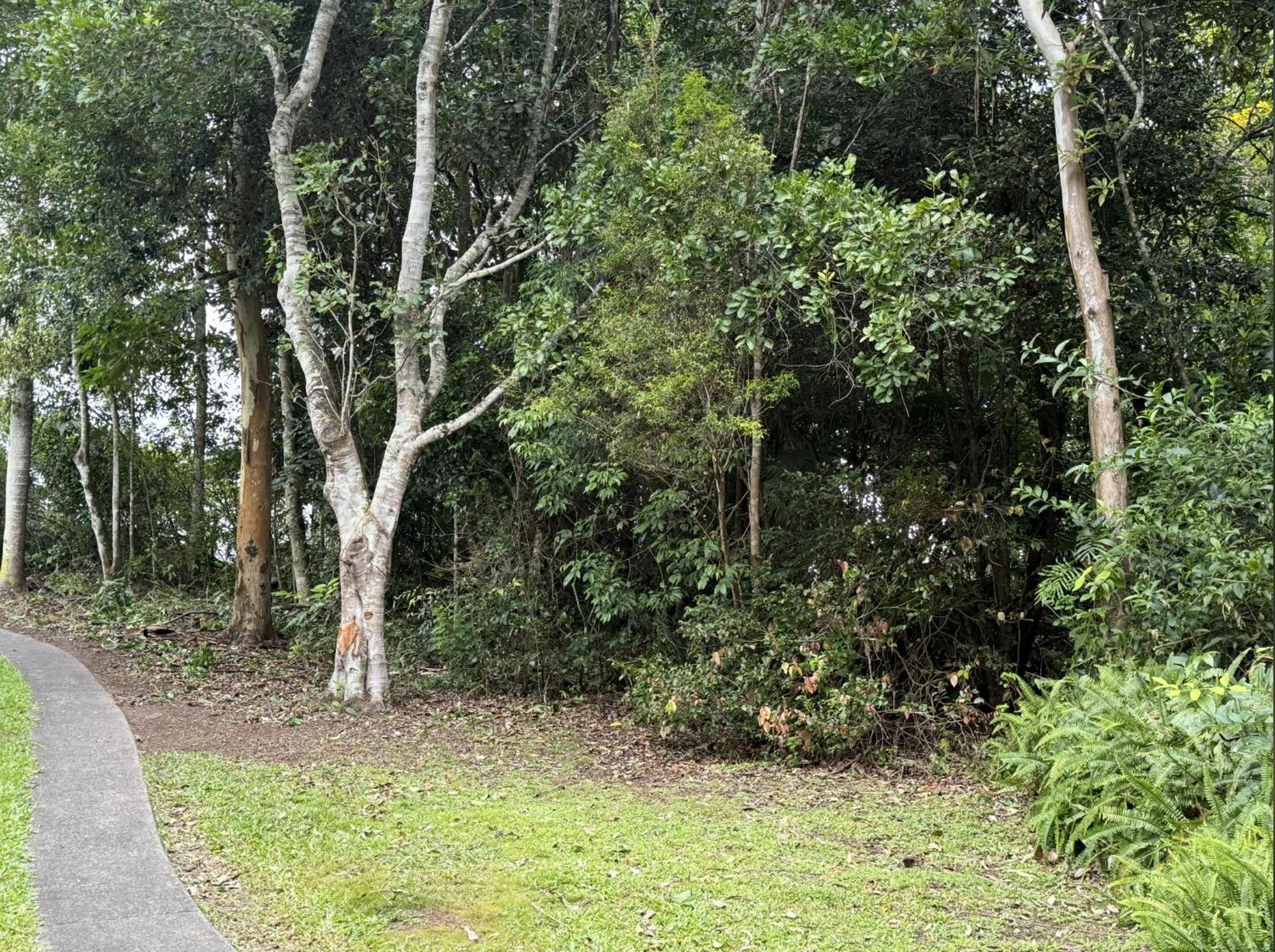 阿瑟顿蓝桉住宿加早餐旅馆 外观 照片